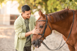 man petting horse in sunny outdoor setting as part of the 5 benefits of equine therapy