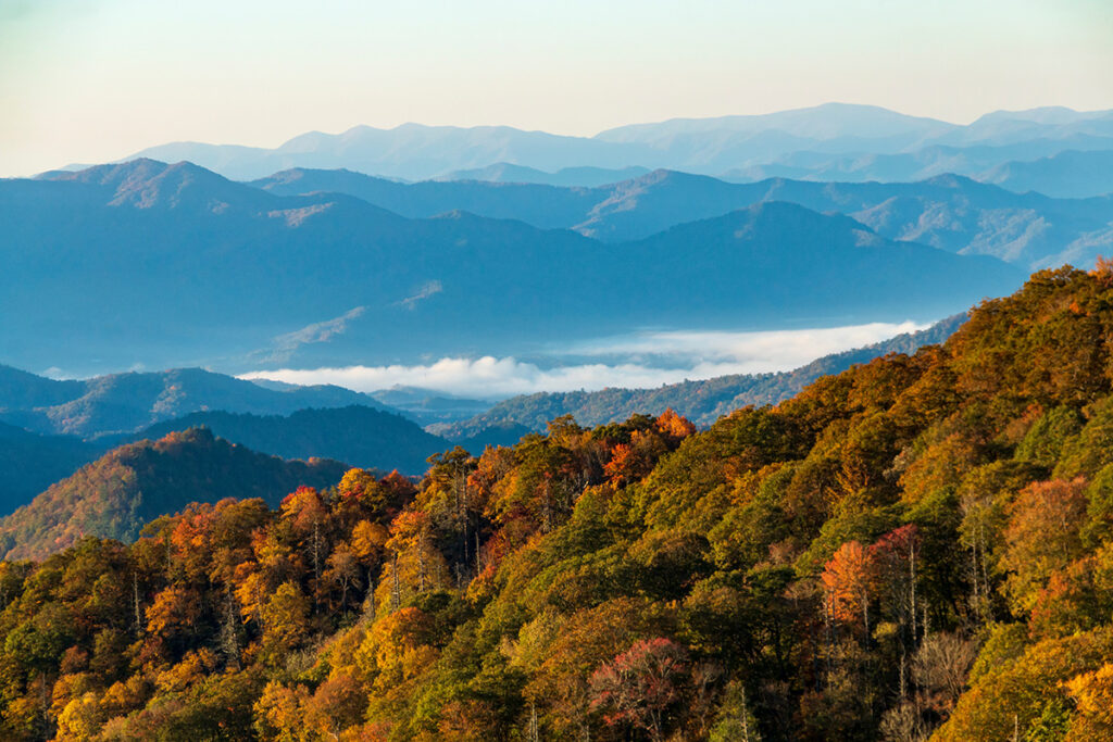 beautiful panoramic folder of mountains and fall foliage with a small town nestled in the valley as indicator that medication-assisted treatment programs near Brevard, NC, are available.